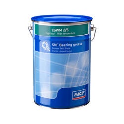 LGWM 2 SKF